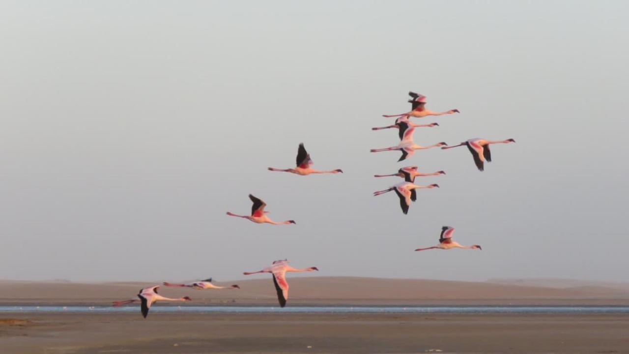 Lagoon View Self Catering Apartamento Walvis Bay Exterior foto