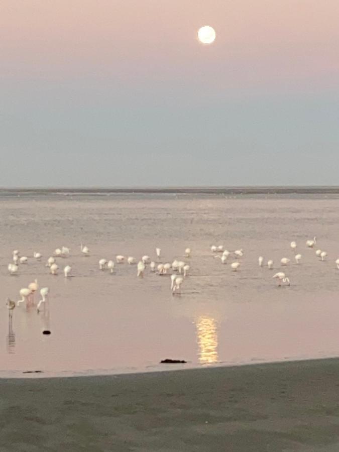 Lagoon View Self Catering Apartamento Walvis Bay Exterior foto