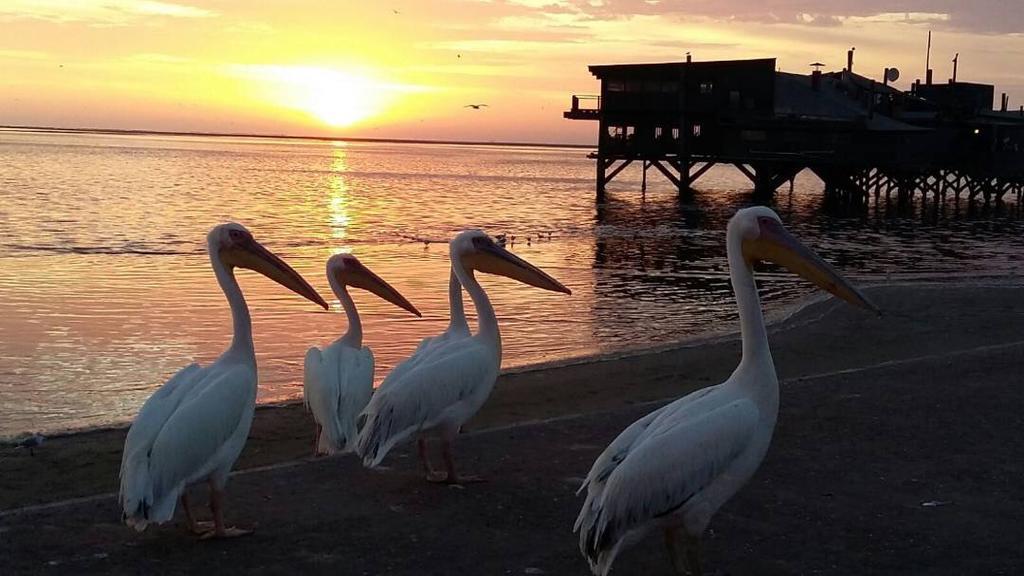 Lagoon View Self Catering Apartamento Walvis Bay Exterior foto